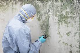 Best Comprehensive Air Testing for Mold Contaminants  in Bainbridge, OH